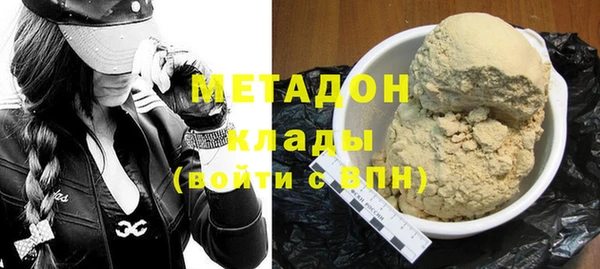 прущие грибы Алзамай