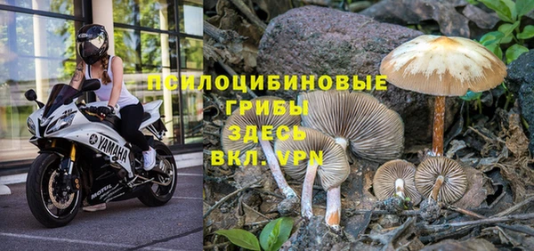 дистиллят марихуана Абаза
