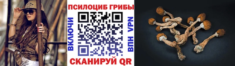 Галлюциногенные грибы Magic Shrooms  Нестеров 